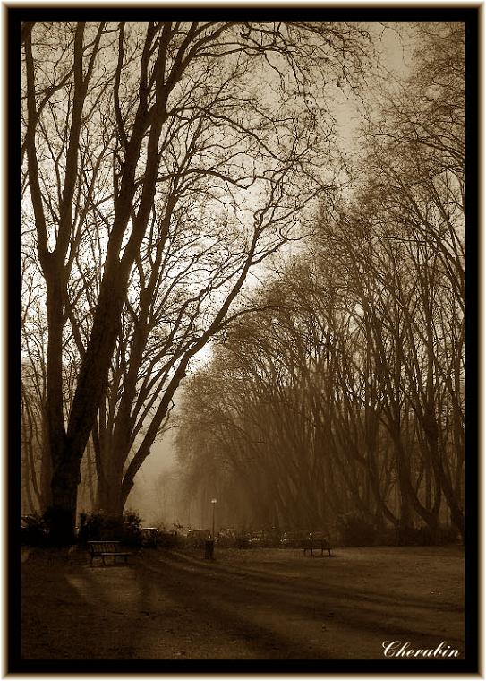 Ad:  @2006-01_083-a.jpg
Gsterim: 218
Boyut:  119.0 KB