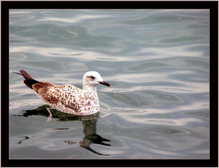 Ad:  istanbul-26sep04_038_copy.jpg
Gsterim: 186
Boyut:  43.0 KB