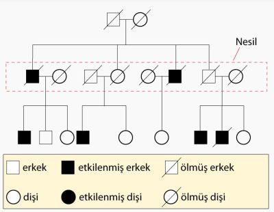 Ad: gen4.JPG
Gösterim: 5499
Boyut: 25.5 KB
