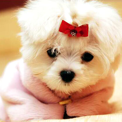 Ad:  9.jpg
Gsterim: 257
Boyut:  52.2 KB