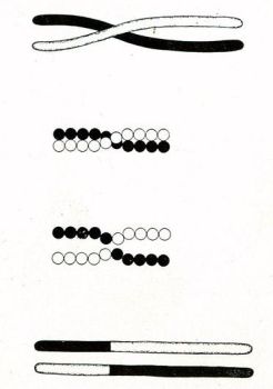 Ad: gen8.jpg
Gösterim: 5405
Boyut: 16.7 KB