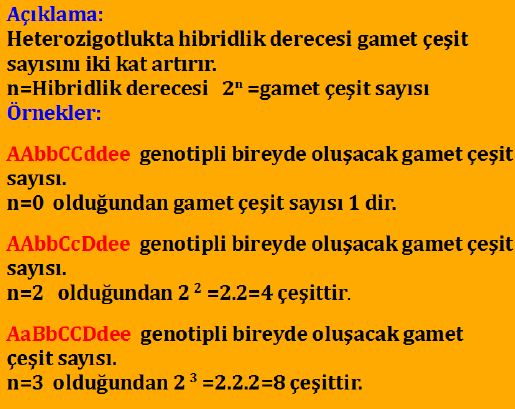 Ad:  mengen4.JPG
Gsterim: 5432
Boyut:  58.3 KB