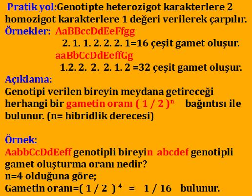 Ad:  mengen5.JPG
Gsterim: 5461
Boyut:  65.2 KB