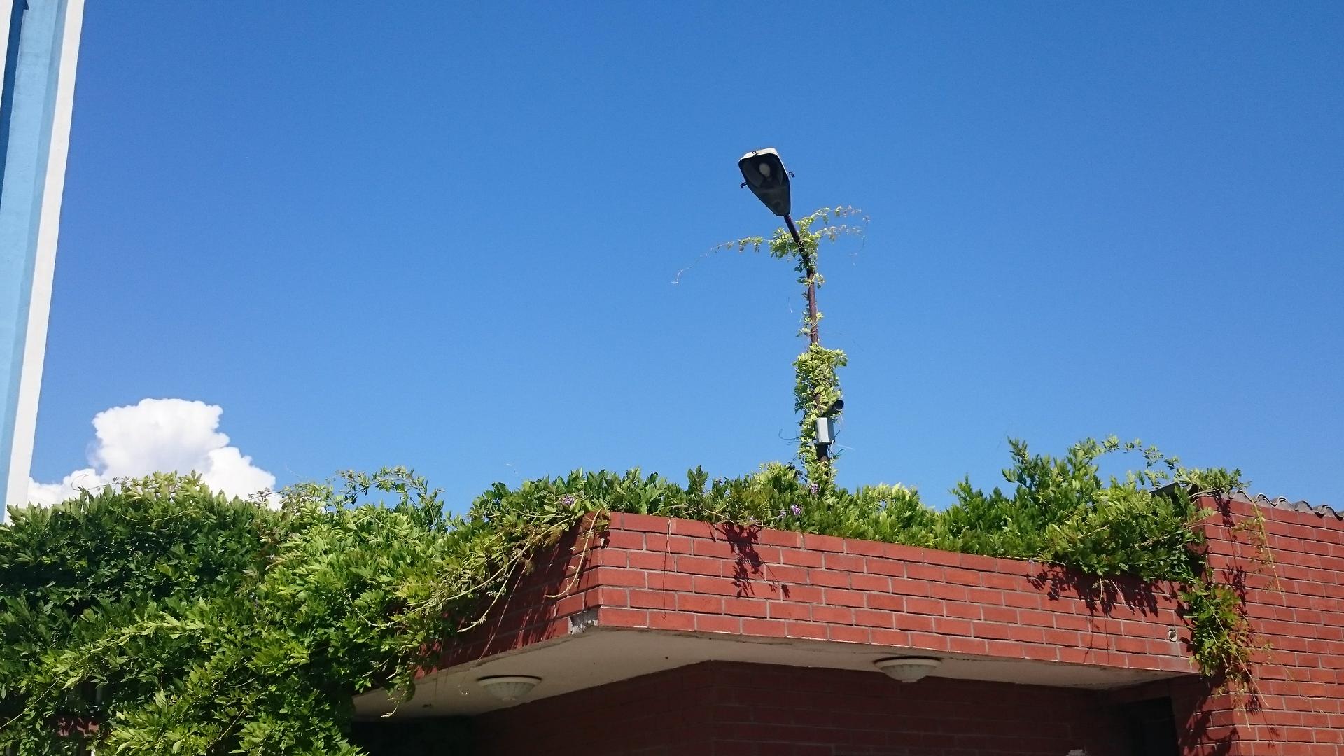 Ad:  DSC_0178.jpg
Gsterim: 358
Boyut:  249.6 KB