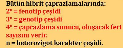 Ad: mengen11.JPG
Gösterim: 5219
Boyut: 24.9 KB