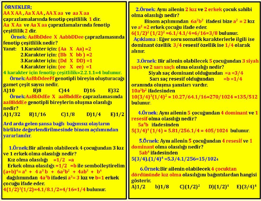 Ad: mengen12.JPG
Gösterim: 5404
Boyut: 191.2 KB