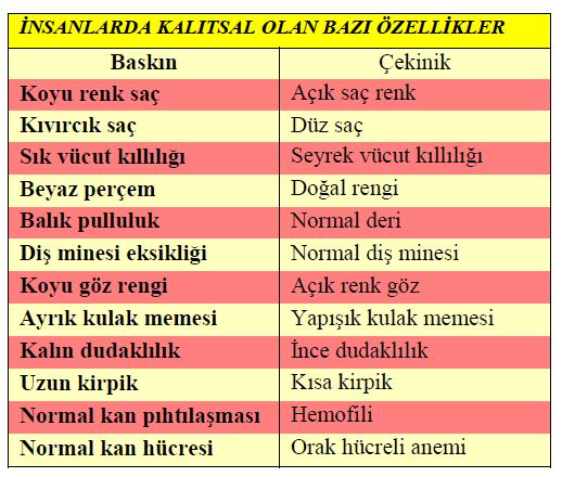 Ad: g2.JPG
Gösterim: 7726
Boyut: 68.8 KB