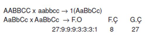 Ad:  mg5.jpg
Gsterim: 1011
Boyut:  9.6 KB