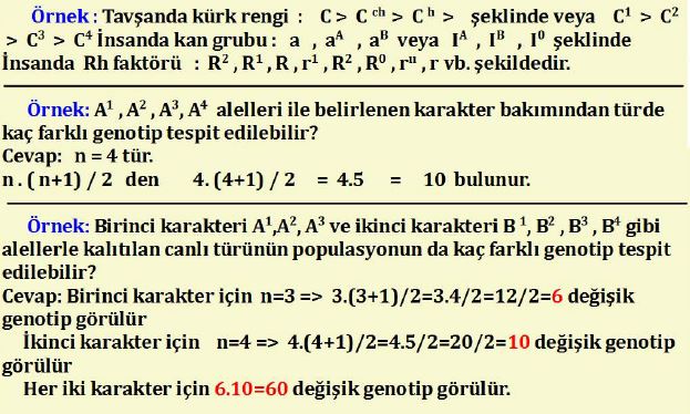 Ad:  mg11.JPG
Gsterim: 1458
Boyut:  75.1 KB