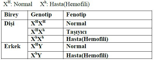 Ad:  mg13.JPG
Gsterim: 851
Boyut:  33.4 KB