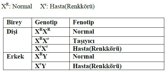 Ad:  mg14.JPG
Gsterim: 1191
Boyut:  34.2 KB