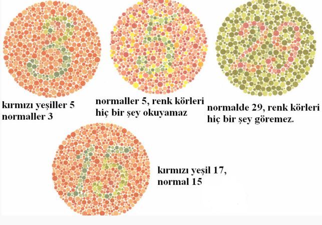 Ad:  mg15.JPG
Gsterim: 879
Boyut:  67.8 KB