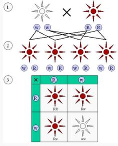 Ad: men1.JPG
Gösterim: 5696
Boyut: 35.5 KB