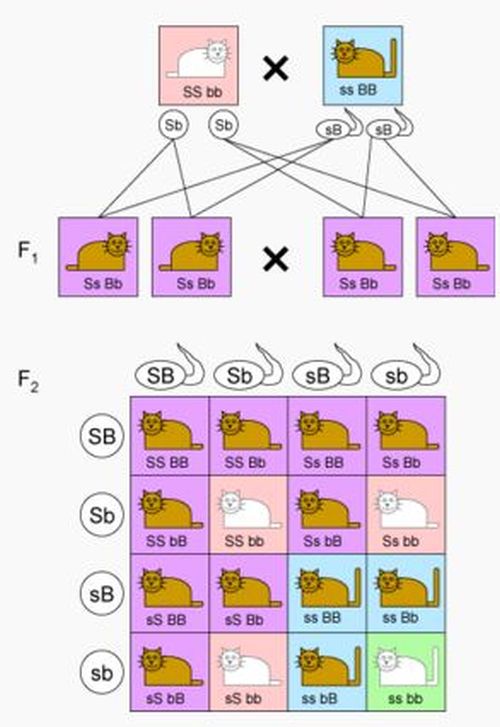 Ad: men2.JPG
Gösterim: 5668
Boyut: 56.7 KB
