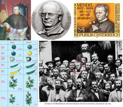 Ad: Gregor Mendel1.jpg
Gösterim: 2192
Boyut: 41.6 KB
