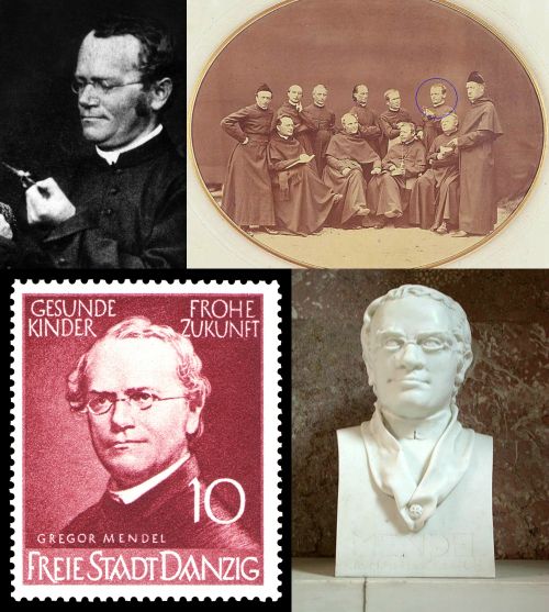 Ad:  Gregor Mendel2.jpg
Gsterim: 1868
Boyut:  63.3 KB