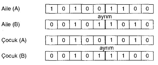 Ad: al1.JPG
Gösterim: 1003
Boyut: 34.2 KB Ad: al1.JPG
Gösterim: 1003
Boyut: 34.2 KB
