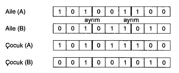 Ad: al2.JPG
Gösterim: 1095
Boyut: 34.2 KB Ad: al2.JPG
Gösterim: 1095
Boyut: 34.2 KB