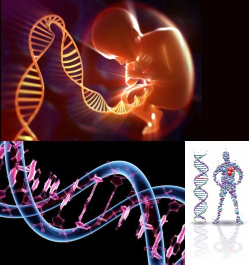 Ad: Genetik 4.jpg
Gösterim: 8893
Boyut: 42.7 KB