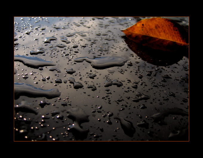 Ad:  black-listek.jpg
Gsterim: 220
Boyut:  145.0 KB