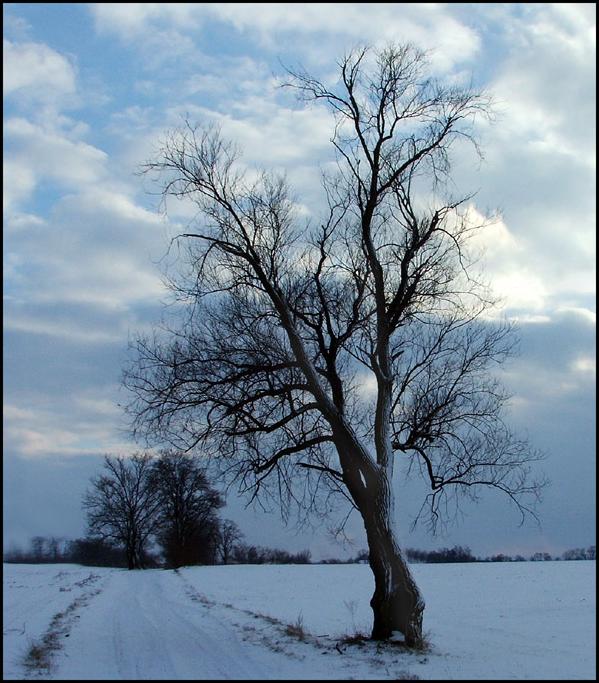 Ad:  dscf0028.jpg
Gsterim: 273
Boyut:  78.1 KB