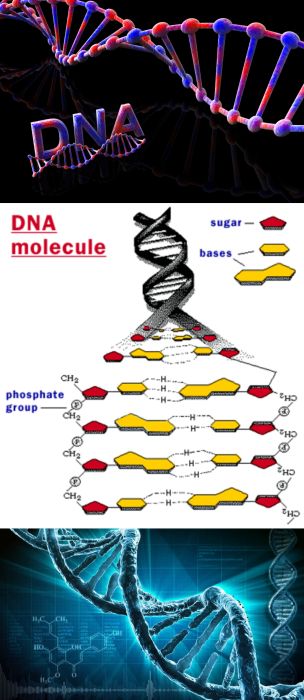 Ad:  DNA2.jpg
Gsterim: 5288
Boyut:  46.8 KB