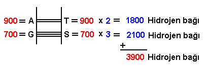 Ad:  13.PNG
Gsterim: 4543
Boyut:  3.7 KB