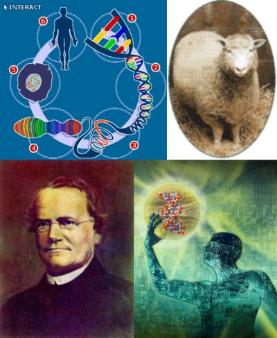 Ad:  genm.jpg
Gsterim: 1901
Boyut:  41.8 KB