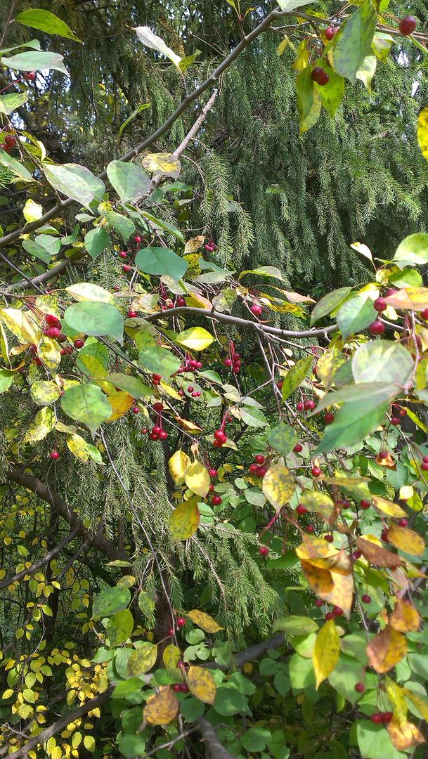 Ad:  IMAG1353.jpg
Gsterim: 271
Boyut:  225.6 KB