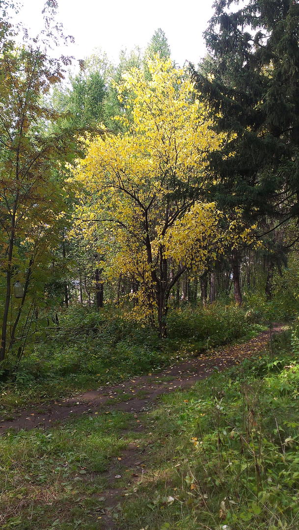 Ad:  IMAG1365.jpg
Gsterim: 215
Boyut:  233.5 KB