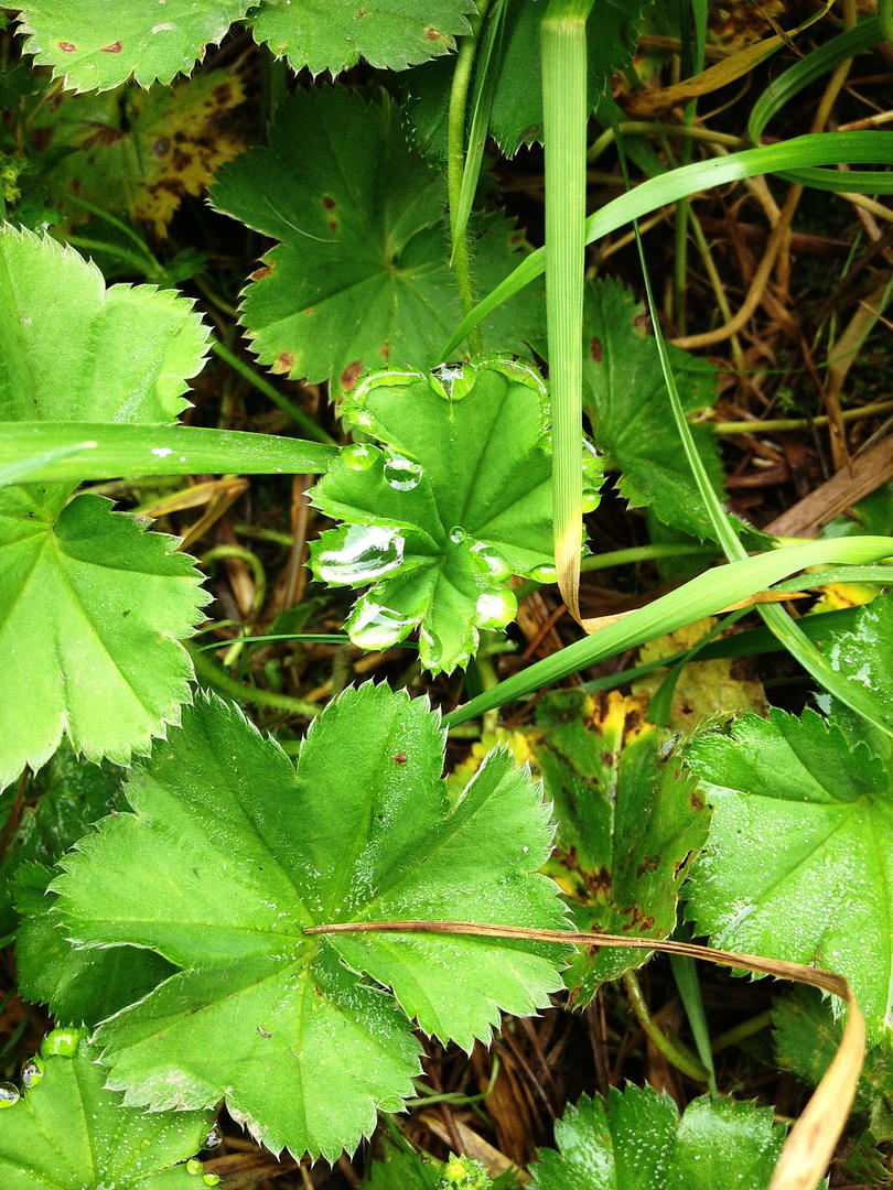 Ad:  IMG_1299.jpg
Gsterim: 249
Boyut:  206.8 KB