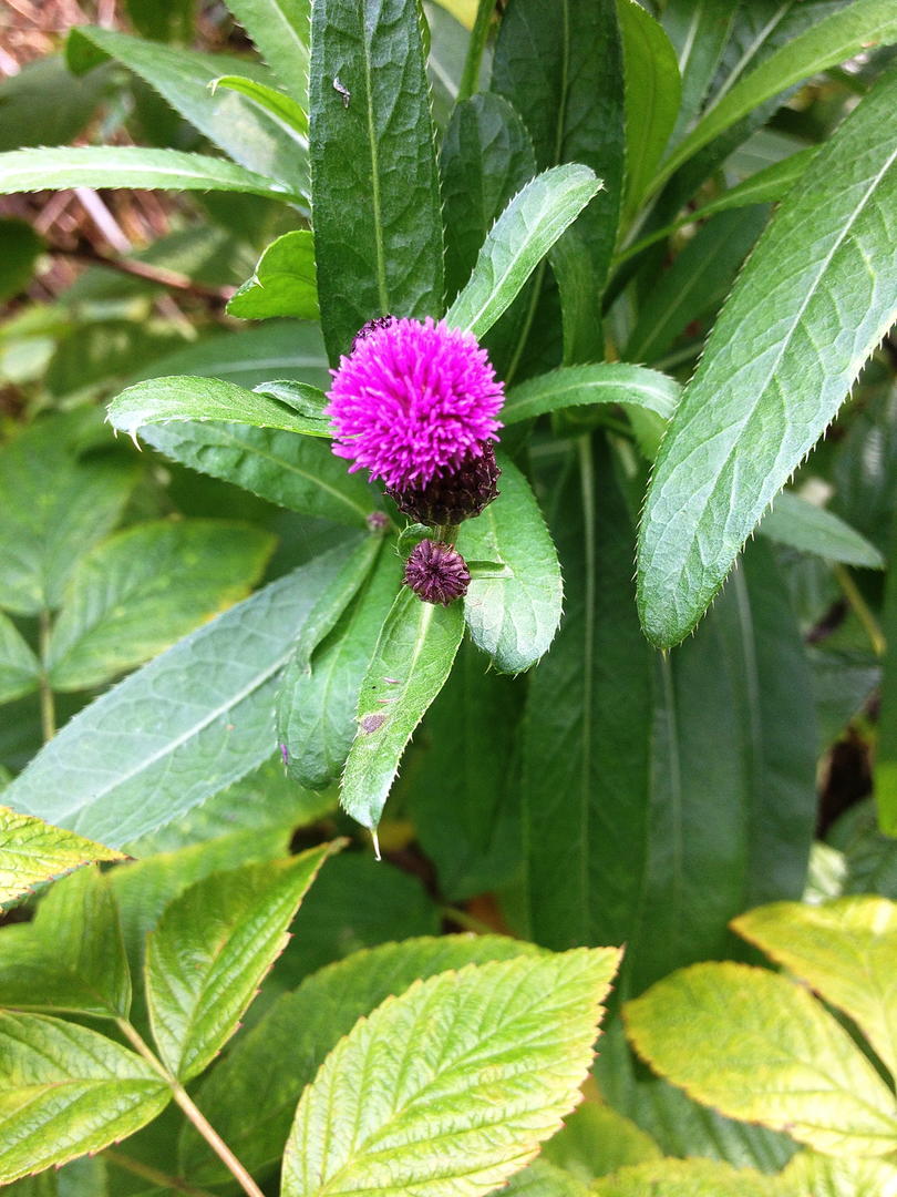 Ad:  IMG_1306.jpg
Gsterim: 284
Boyut:  150.7 KB