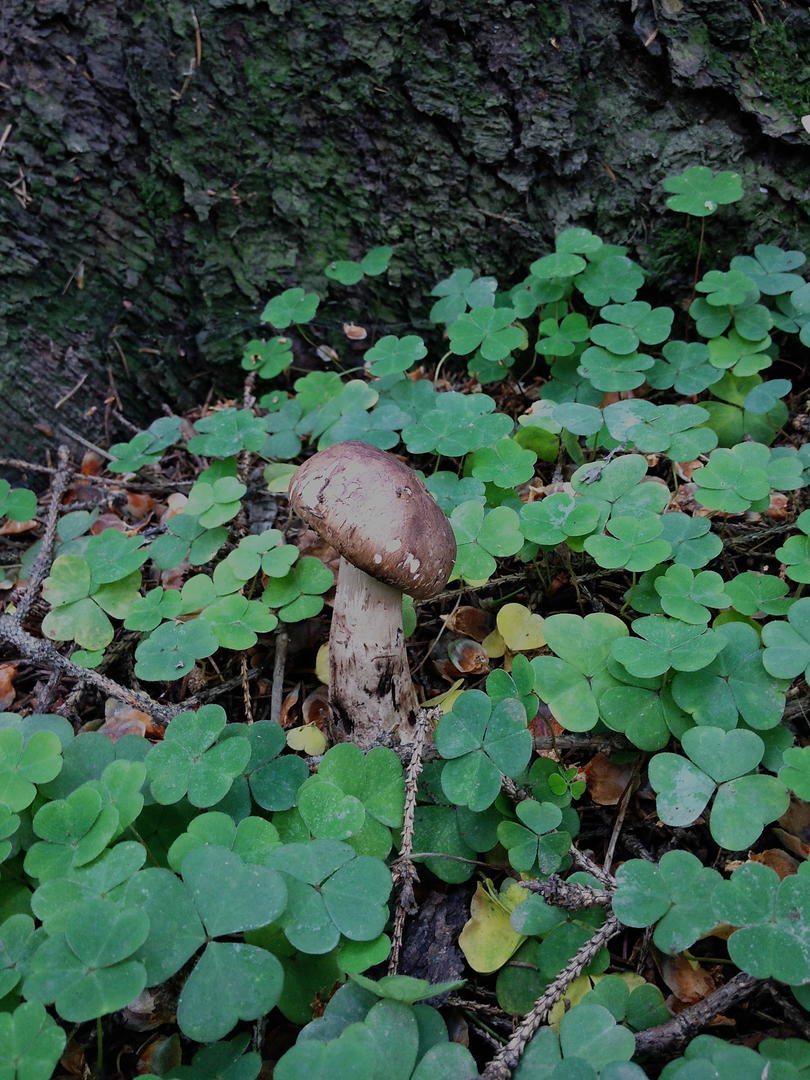 Ad:  IMG_1322.jpg
Gsterim: 227
Boyut:  178.7 KB