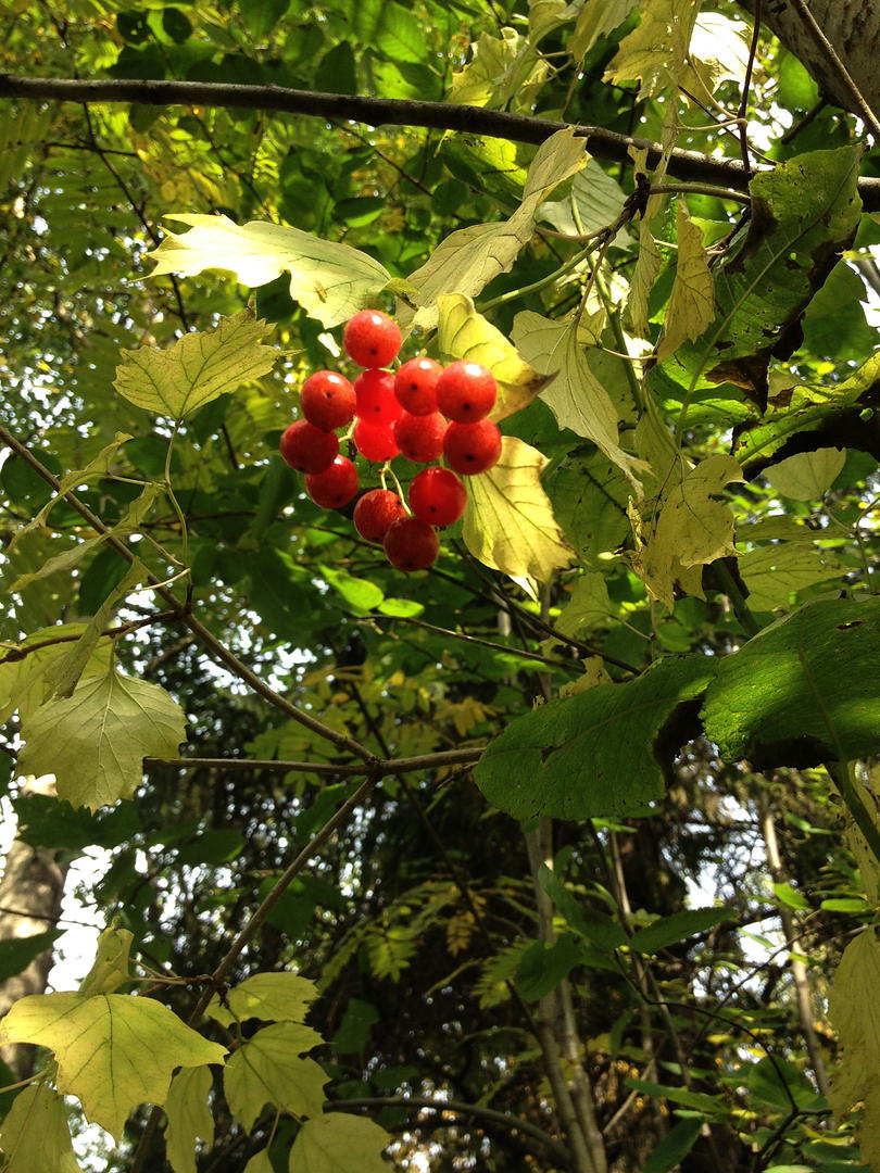 Ad:  IMG_1389.jpg
Gsterim: 242
Boyut:  198.7 KB