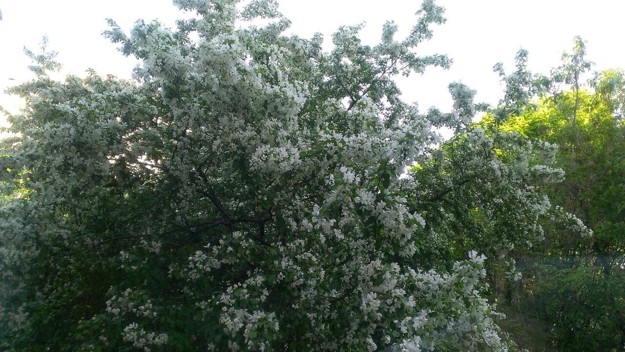 Ad:  IMG_6876.JPG
Gsterim: 241
Boyut:  382.2 KB