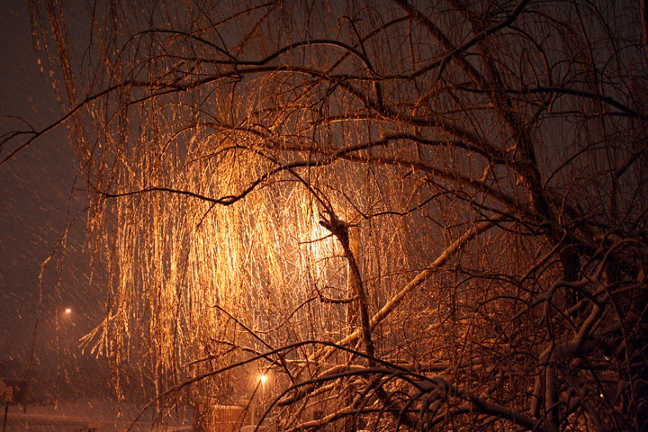 Ad:  willow_snow.jpg
Gsterim: 356
Boyut:  188.1 KB