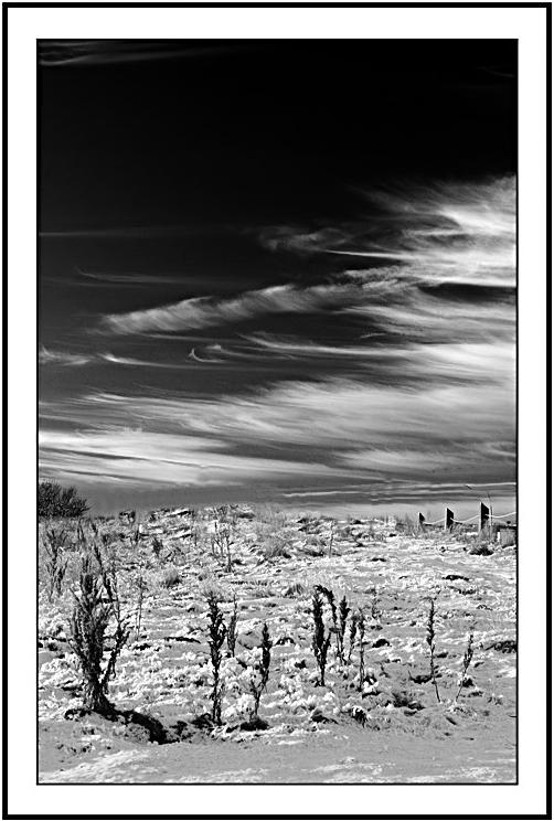 Ad:  snowbush_filtered.jpg
Gsterim: 3544
Boyut:  67.2 KB