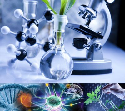 Ad:  b1.jpg
Gsterim: 2015
Boyut:  30.7 KB