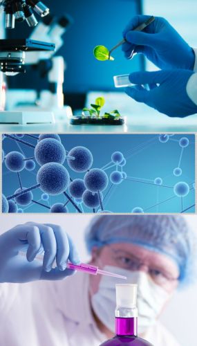 Ad:  b5.jpg
Gsterim: 1617
Boyut:  25.1 KB