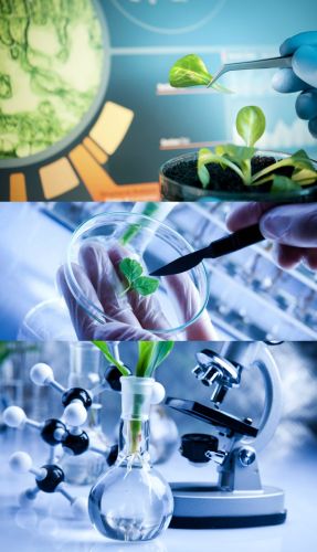 Ad:  b4.jpg
Gsterim: 2211
Boyut:  30.5 KB