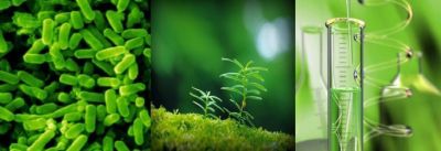 Ad:  biotechnologie.jpg
Gsterim: 1631
Boyut:  13.6 KB