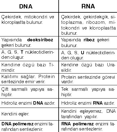 Ad: rna.JPG
Gösterim: 2017
Boyut: 64.0 KB