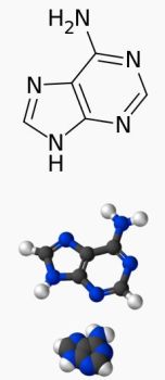 Ad:  adenin.JPG
Gsterim: 941
Boyut:  14.4 KB