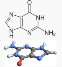 Ad:  guanin.JPG
Gsterim: 1060
Boyut:  13.3 KB