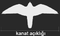 Ad: kanat_.gif
Gösterim: 240
Boyut: 2.4 KB