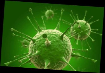 Ad:  virus.jpg
Gsterim: 8848
Boyut:  26.8 KB