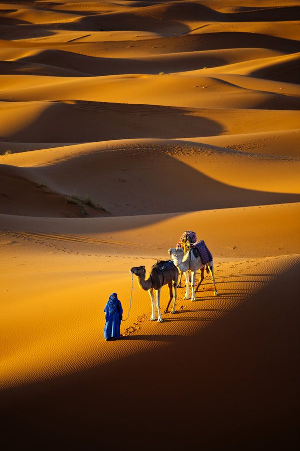 Ad:  sailing_across_the_sea_by_gilad-d5ury78.jpg
Gsterim: 703
Boyut:  65.0 KB