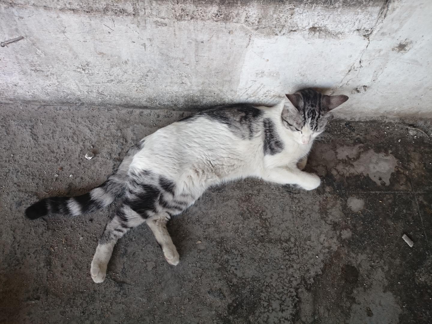 Ad:  DSC_0187.jpg
Gsterim: 196
Boyut:  264.5 KB