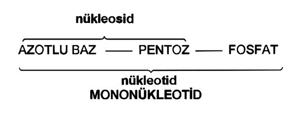 Ad:  n1.JPG
Gsterim: 2811
Boyut:  23.7 KB
