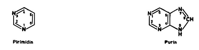 Ad:  n2.JPG
Gsterim: 2859
Boyut:  16.3 KB